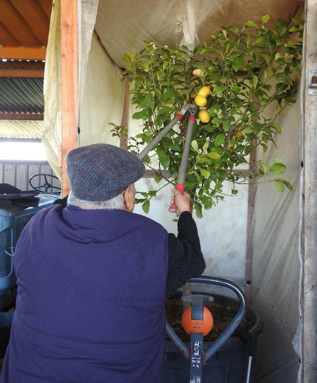 Franciach B&B El Ranxo מראה חיצוני תמונה