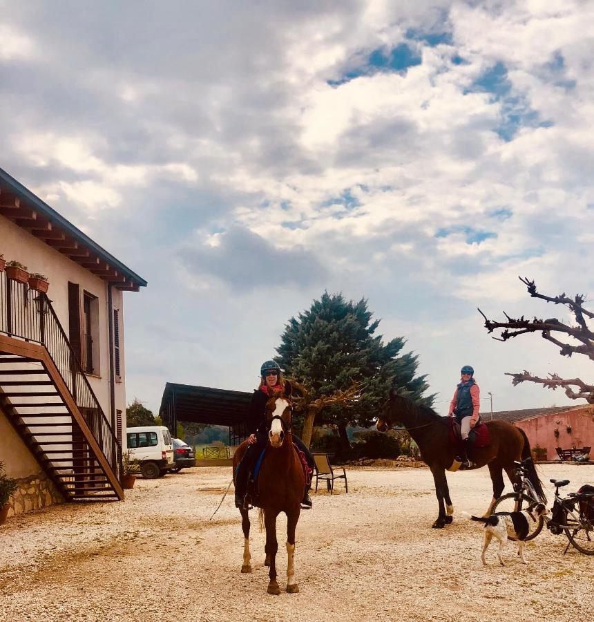Franciach B&B El Ranxo מראה חיצוני תמונה
